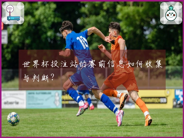 世界杯投注站的赛前信息如何收集与判断?