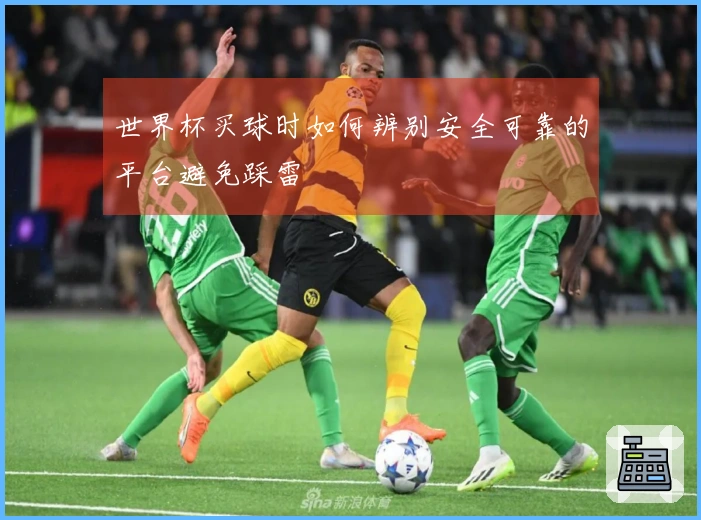 世界杯买球时如何辨别安全可靠的平台避免踩雷