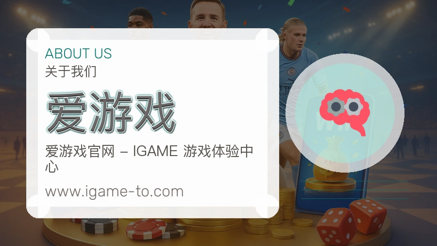 关于 爱游戏